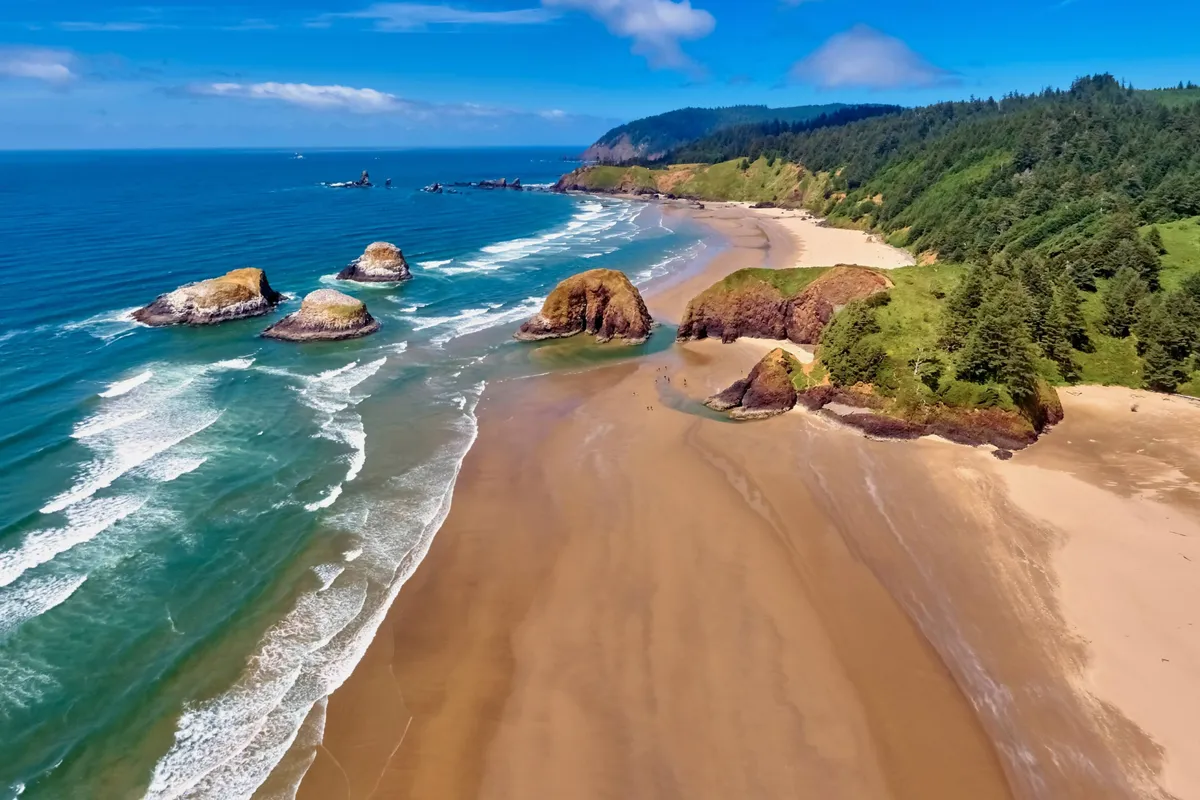 A tranquil beach scene featuring sandy shores, rugged rock formations, gentle waves, and a forested backdrop. The setting evokes the serene beauty of sunset picnics and the allure of the wild Pacific coastline.